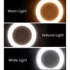 10 Inch LED Ring Light